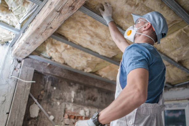 Best Local Insulation Services  in Kerens, TX