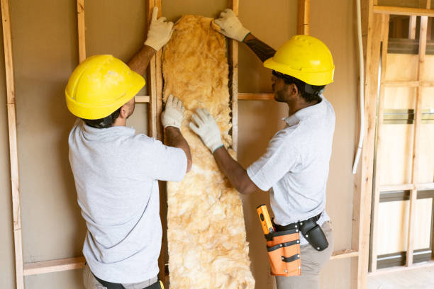 Best Insulation Removal  in Kerens, TX